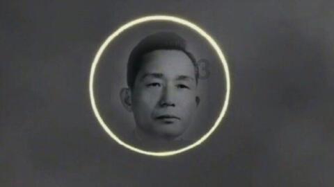 泡泡袖夏装