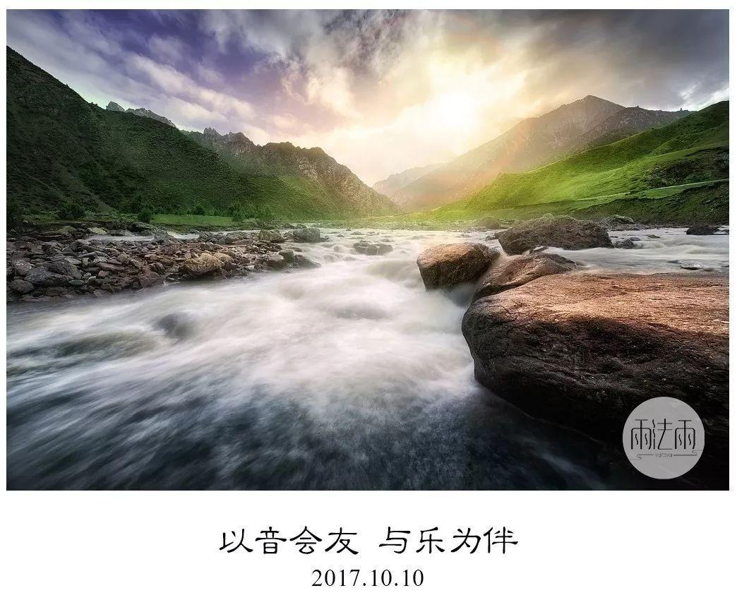 雨后盛放